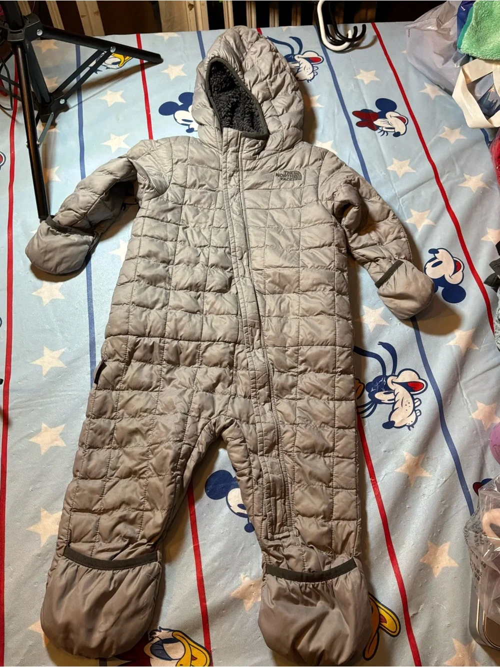The North Face north face